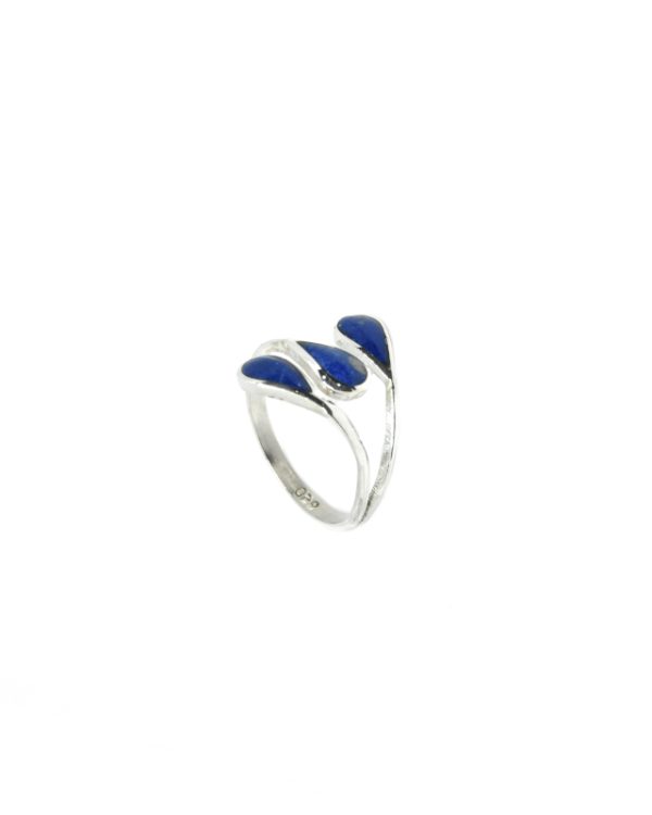 Anillo Garra - Adaptable